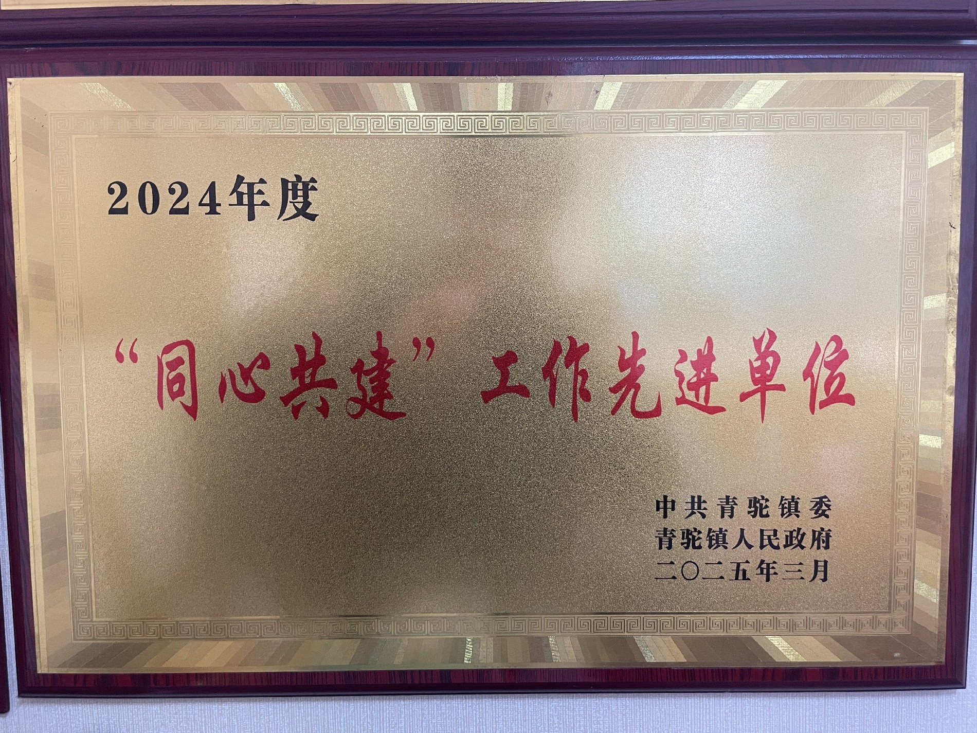 2024年度“同心共建”工作先進單位