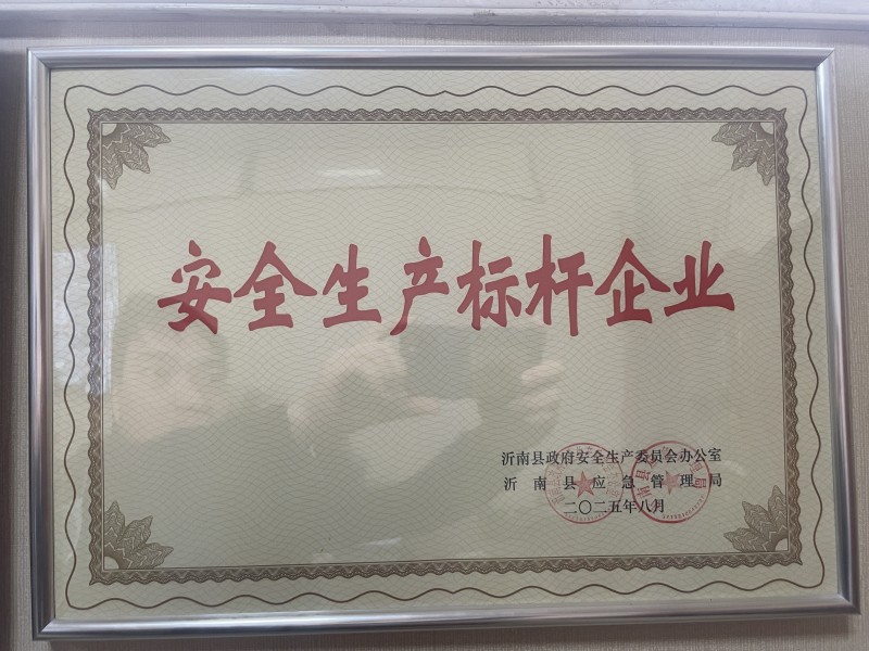 安全生產(chǎn)標(biāo)桿企業(yè)